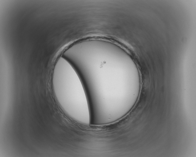 X0000112901359200908211042