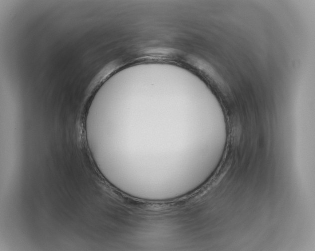 X0000112901362200908211042