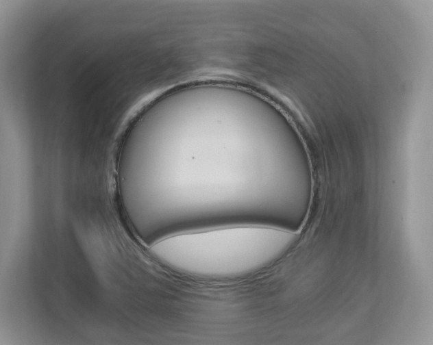 X0000112901363200908211042