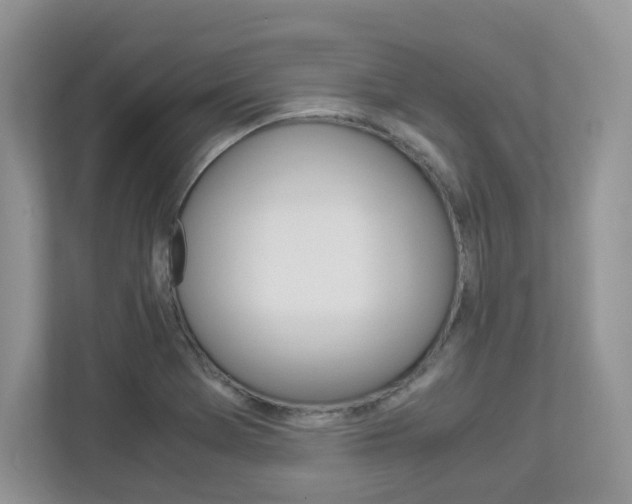 X0000112901369200908211042