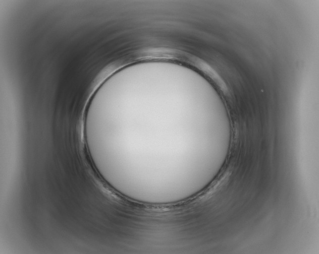 X0000112901370200908211042