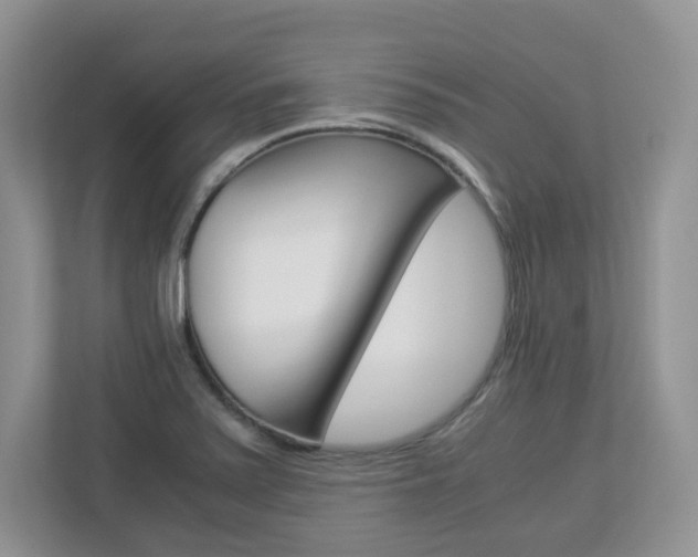 X0000112901371200908211042