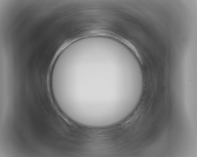 X0000112901373200908211042