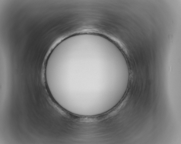 X0000112901374200908211042