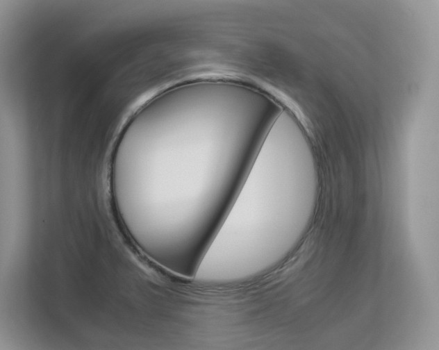 X0000112901375200908211042