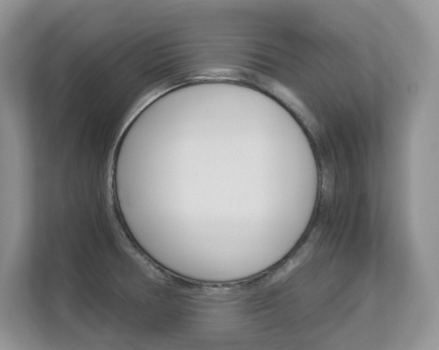 X0000112901378200908211042