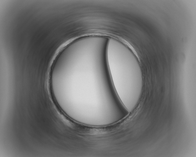 X0000112901379200908211041