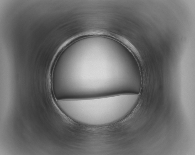 X0000112901380200908211041