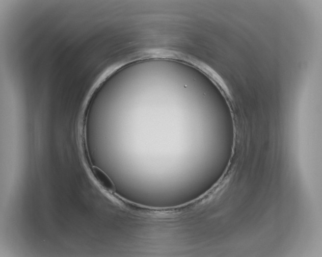 X0000112901381200908211041