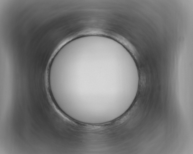 X0000112901382200908211041