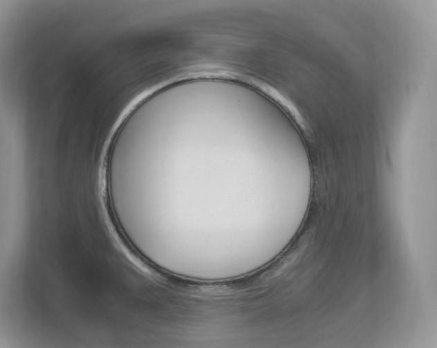 X0000112901383200908211041