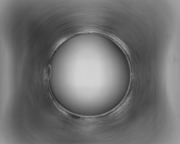 X0000112901385200908211041