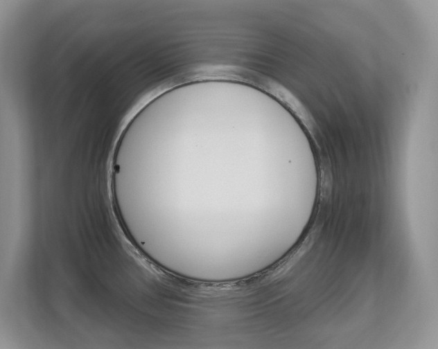 X0000112901386200908211041