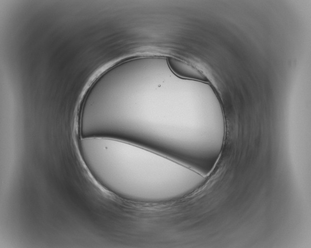 X0000112901387200908211041