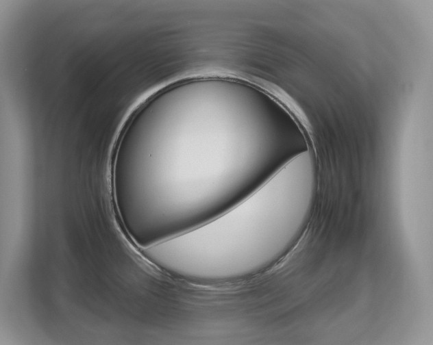 X0000112901388200908211041