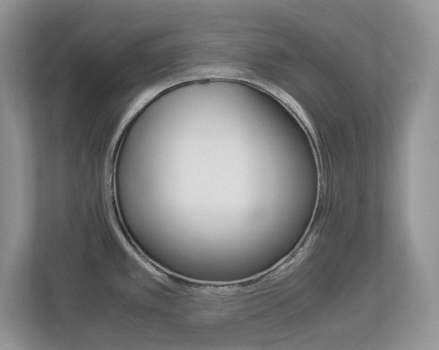 X0000112901389200908211041