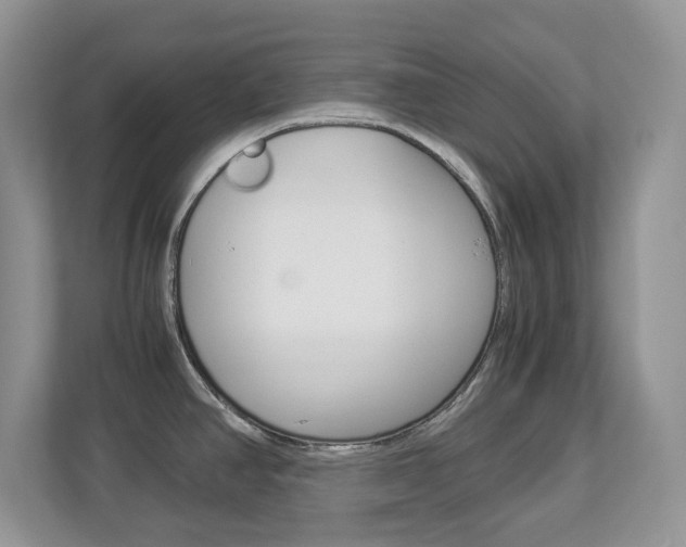 X0000112901390200908211041