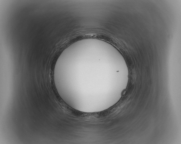 X0000112901394200908211041