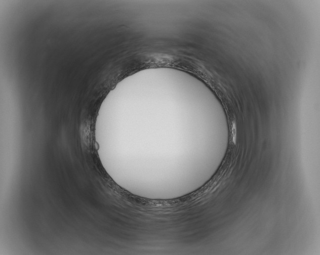 X0000112901395200908211041