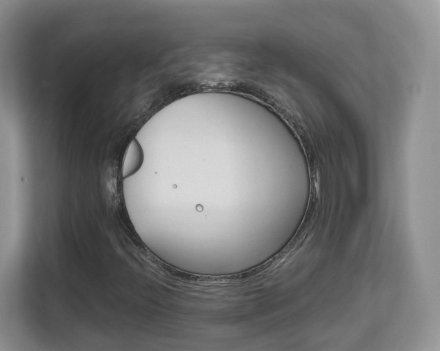 X0000112901396200908211041