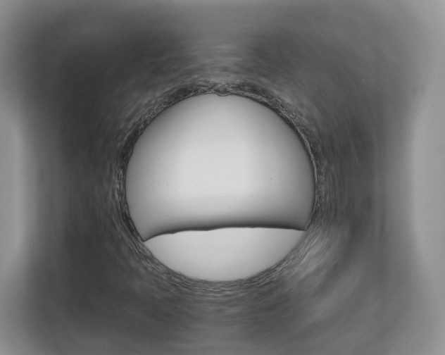 X0000112901397200908211041