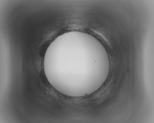 X0000112901399200908211041