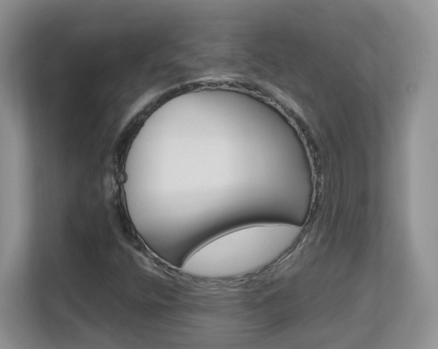 X0000112901400200908211041