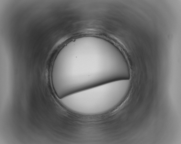 X0000112901402200908211041