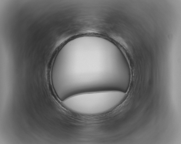 X0000112901404200908211041