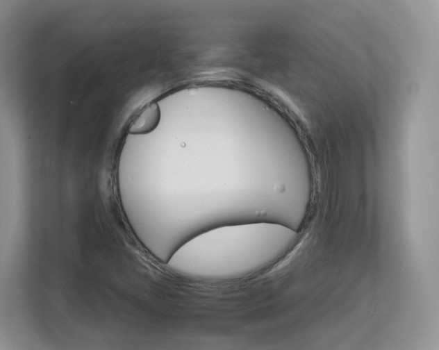 X0000112901405200908211041