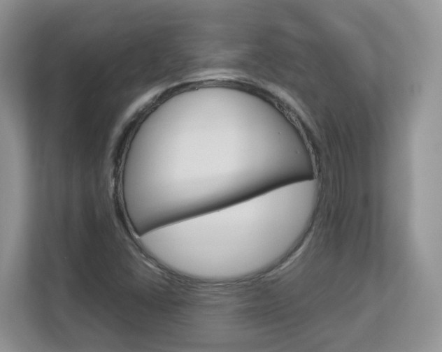X0000112901406200908211041
