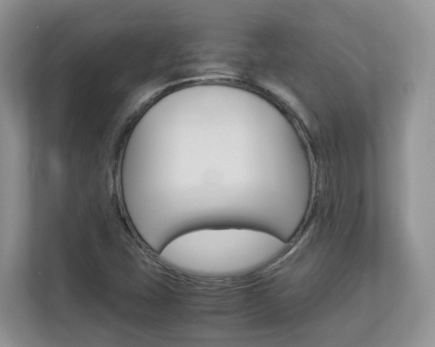 X0000112901407200908211041