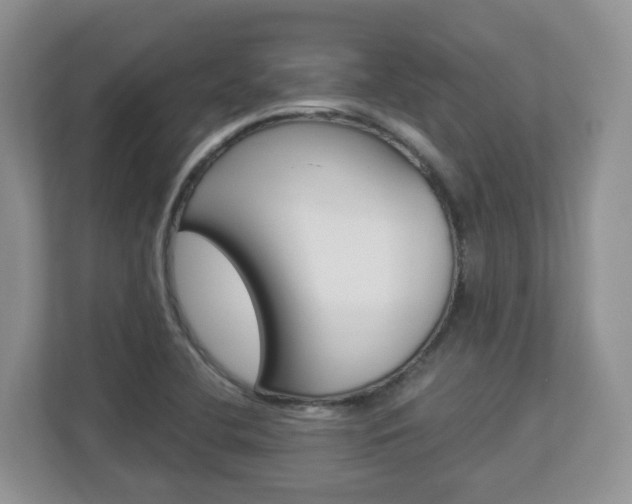 X0000112901412200908211041