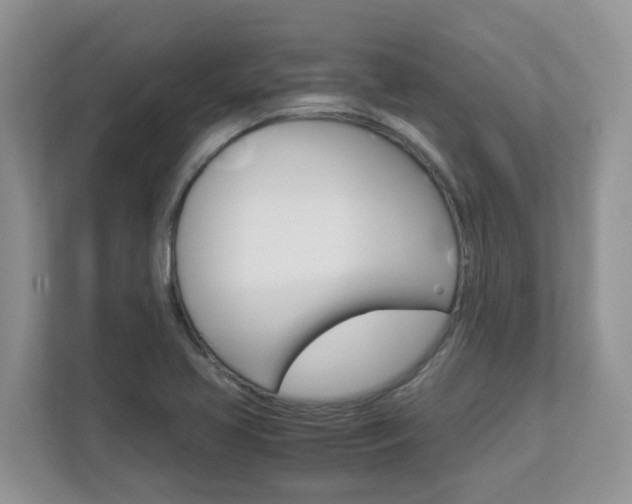 X0000112901413200908211041