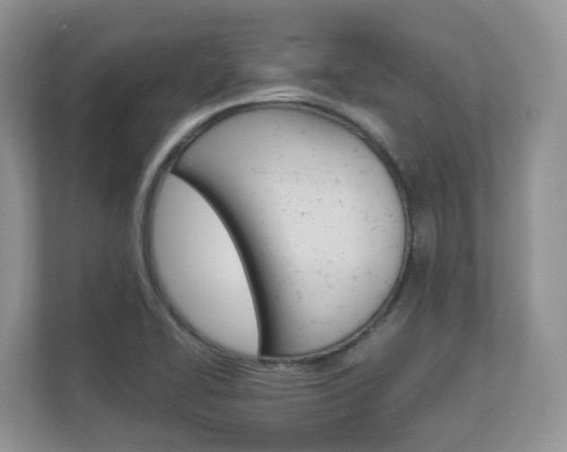 X0000112901414200908211041
