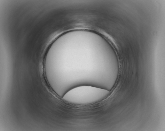 X0000112901415200908211041