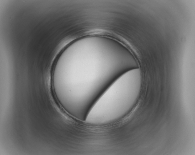 X0000112901418200908211041