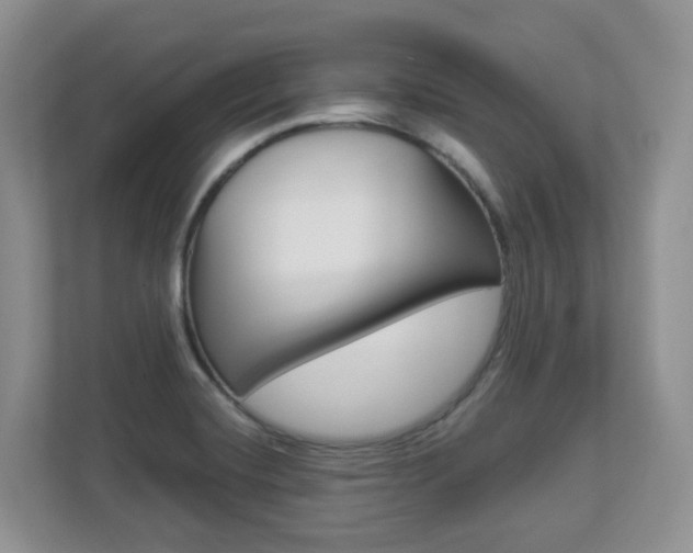 X0000112901420200908211041