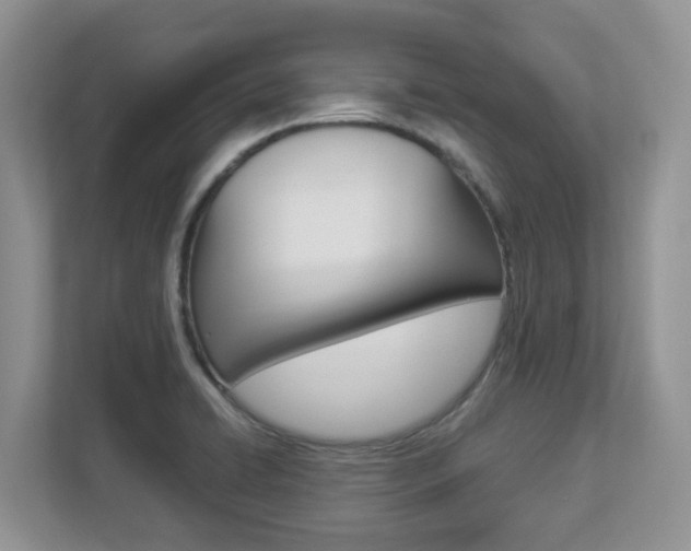 X0000112901422200908211041