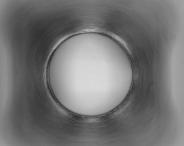 X0000112901423200908211041