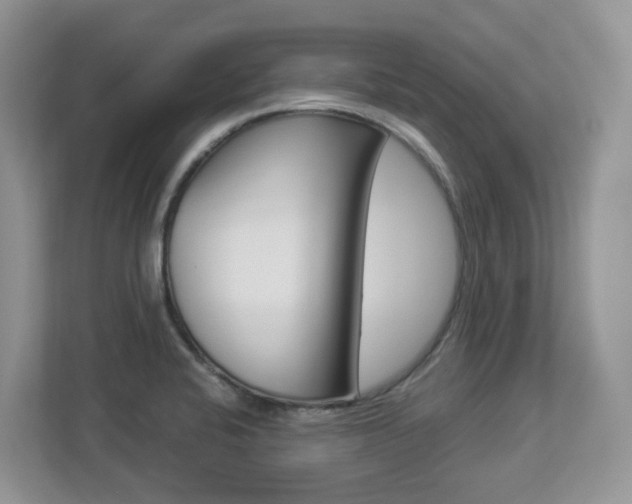 X0000112901424200908211041