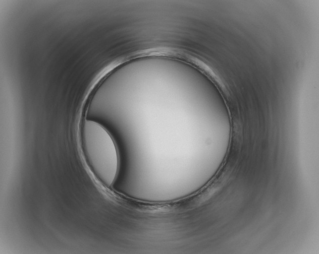 X0000112901426200908211041