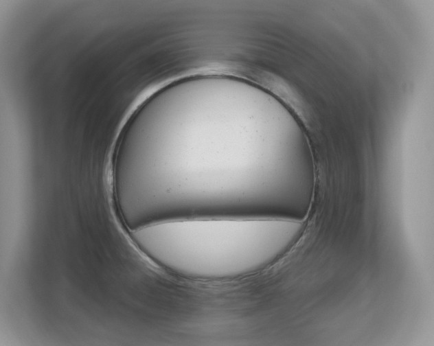 X0000112901428200908211041
