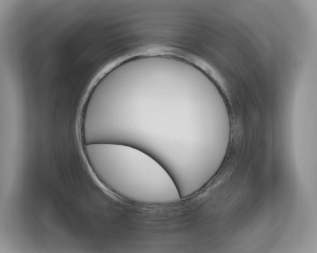 X0000112901429200908211041