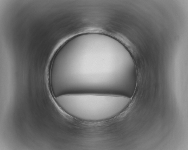 X0000112901430200908211041