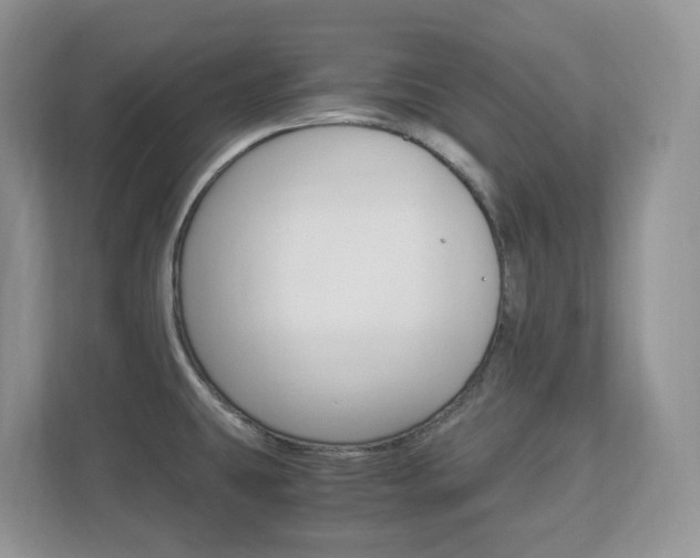 X0000112901431200908211041