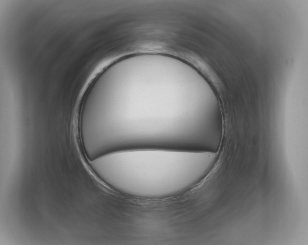 X0000112901432200908211041