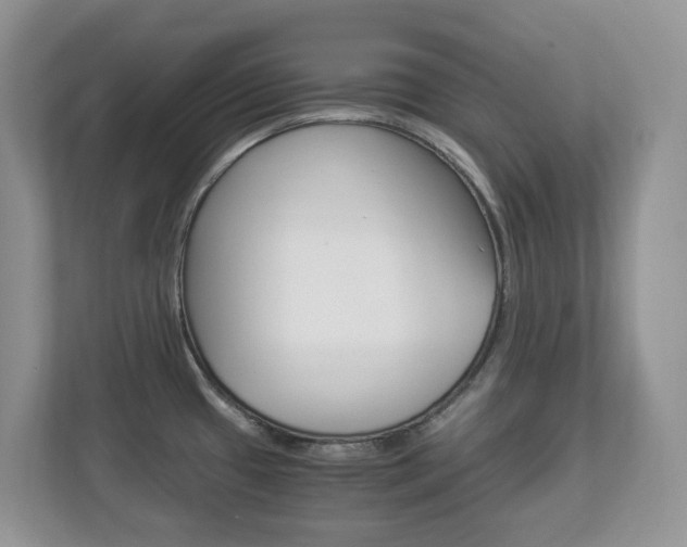 X0000112901433200908211041
