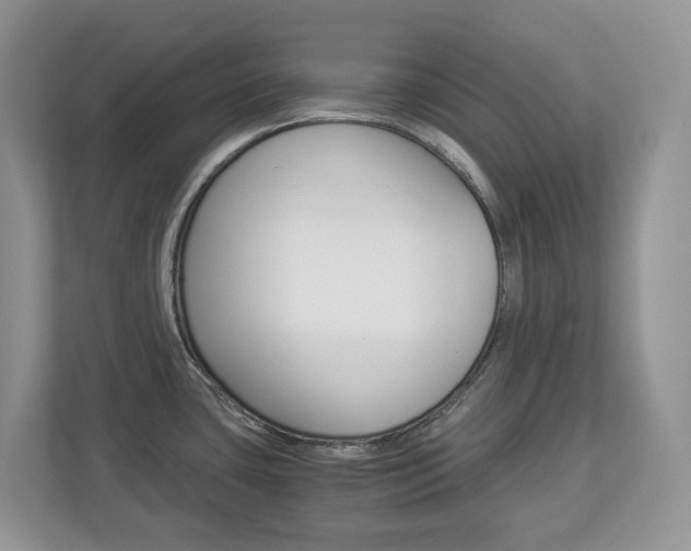 X0000112901435200908211041