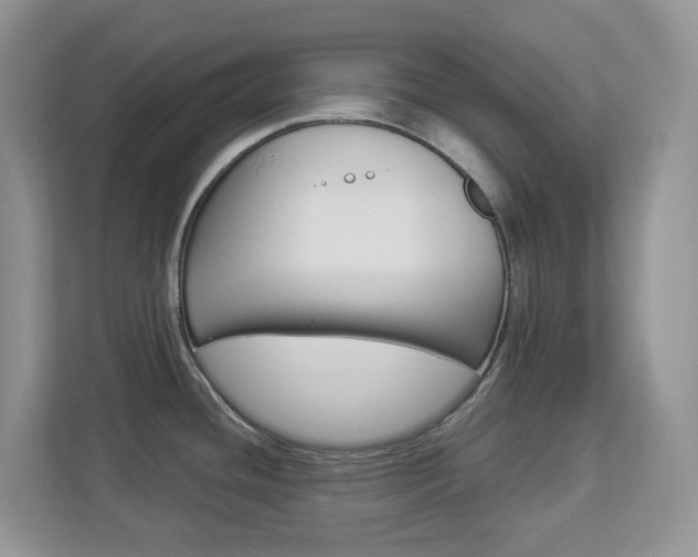 X0000112901436200908211041